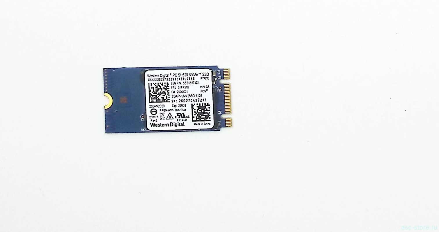 SSD  256GB M.2 PC2242